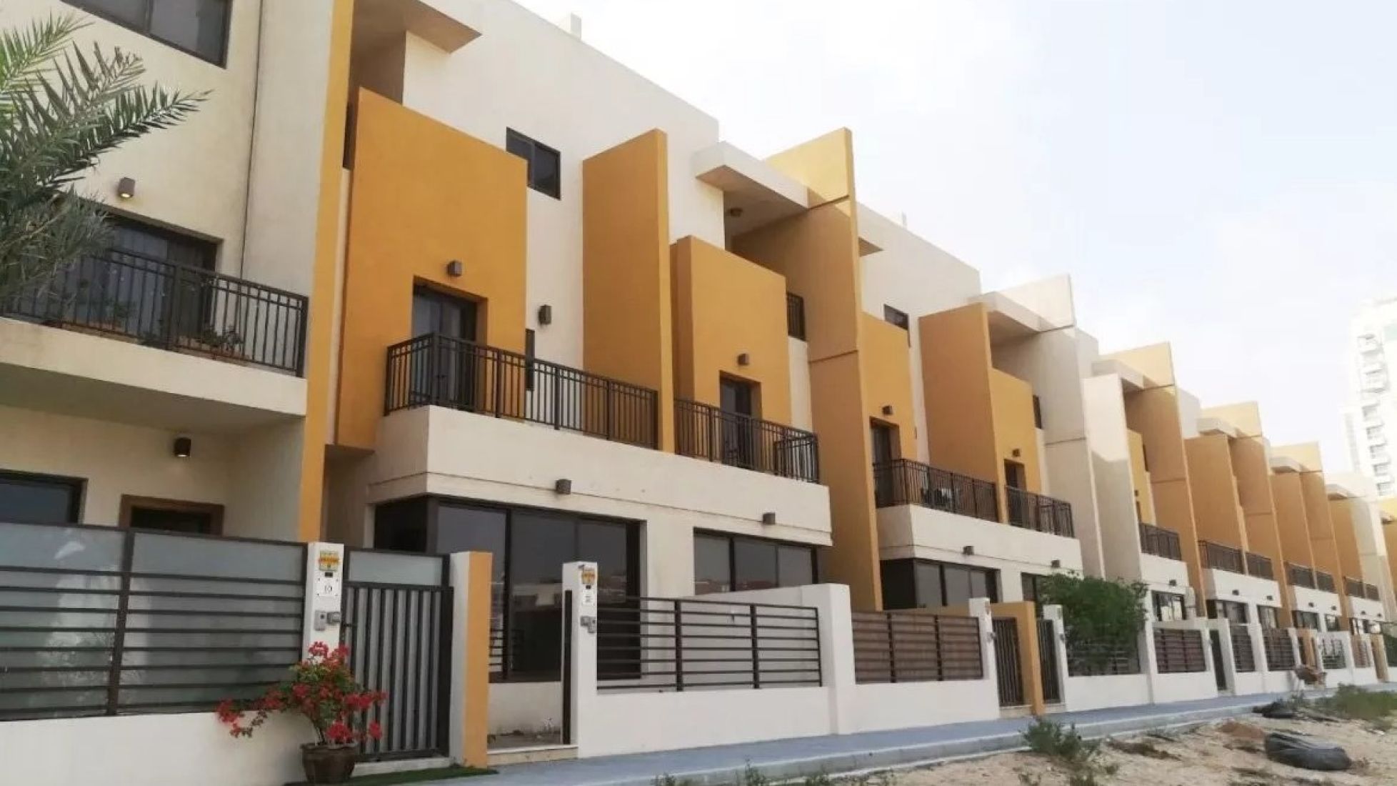 Lupos Property