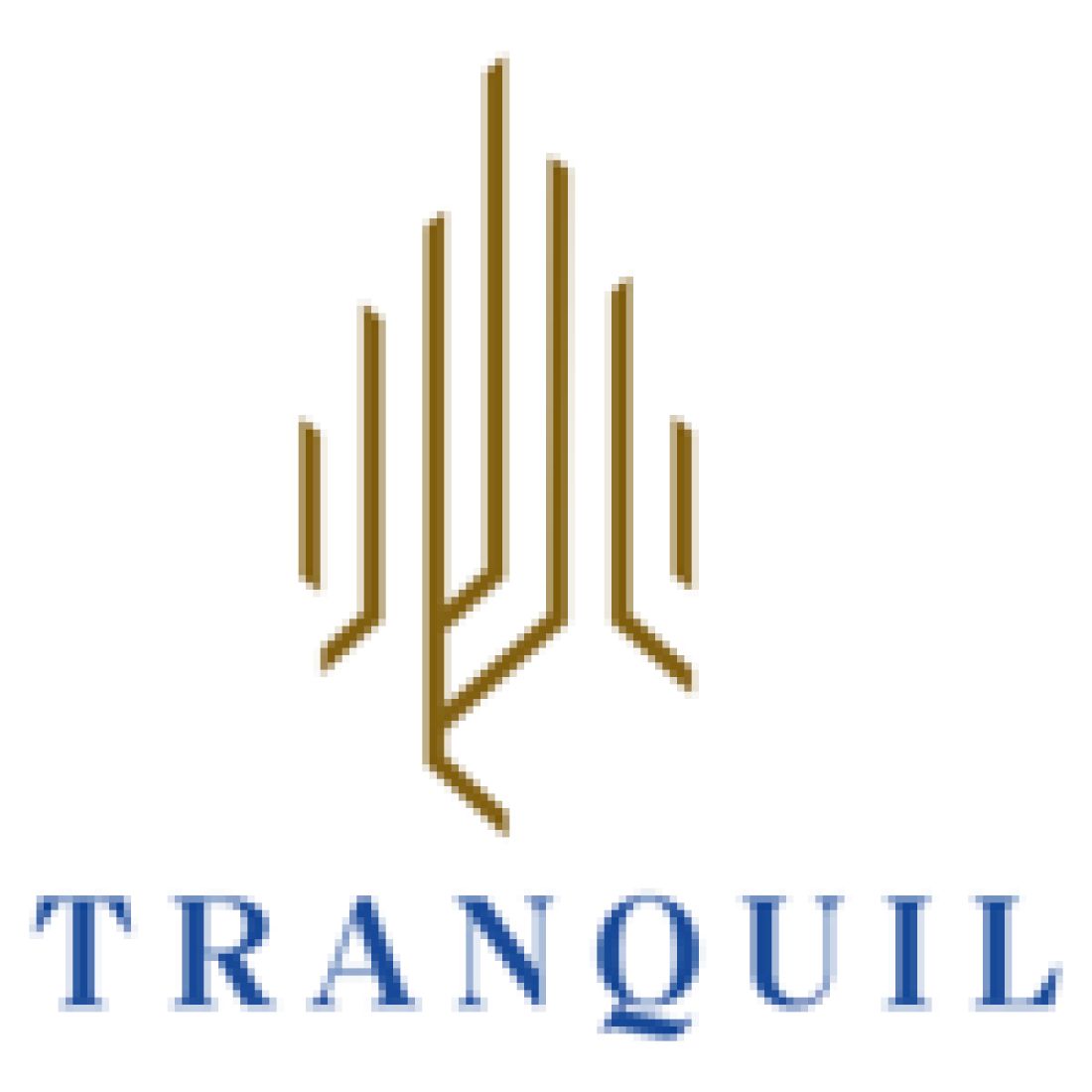 Tranquil Infra Developers